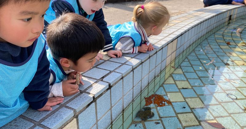 Join in the Fun and Learning at Dandelion's Summer Camp